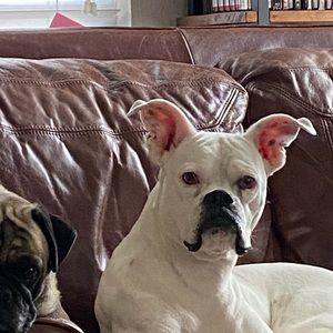 Meet your Posher, Elaine